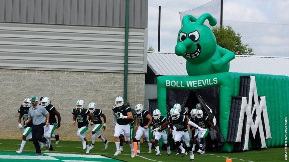 Arkansas-Monticello Boll Weevils