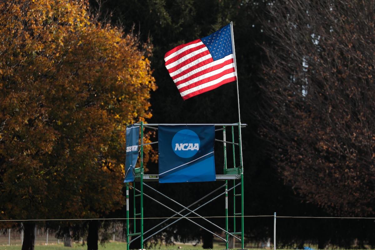 NCAA DII cross country